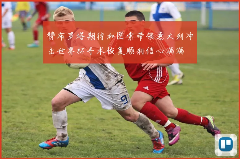 赞布罗塔期待加图索带领意大利冲击世界杯手术恢复顺利信心满满