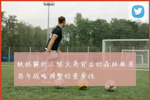 铁林解析三球交易背后的森林狼困惑与战略调整的重要性