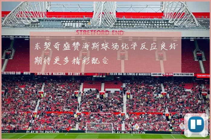 东契奇盛赞海斯球场化学反应良好期待更多精彩配合